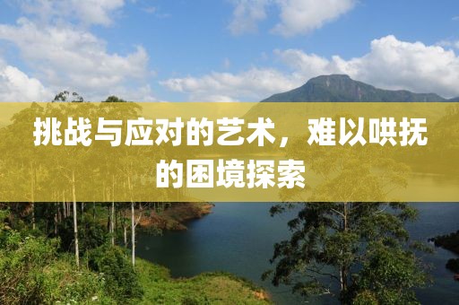 挑战与应对的艺术，难以哄抚的困境探索