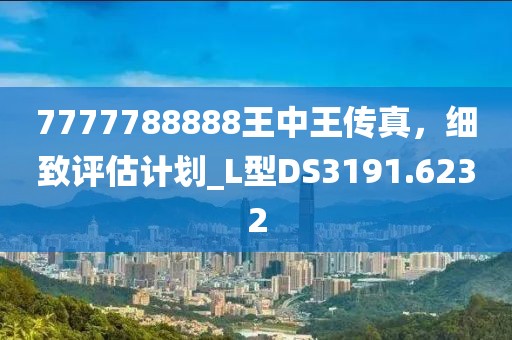 7777788888王中王传真，细致评估计划_L型DS3191.6232