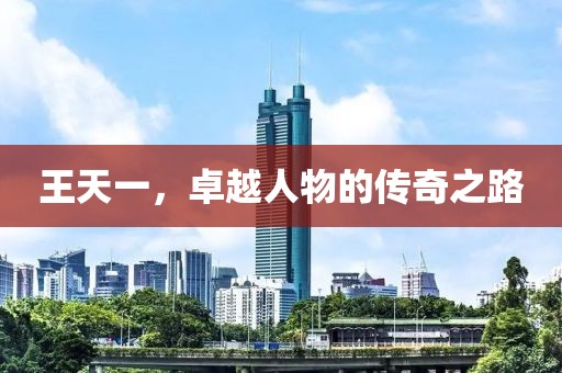王天一，卓越人物的传奇之路
