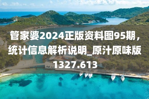 管家婆2024正版资料图95期，统计信息解析说明_原汁原味版1327.613