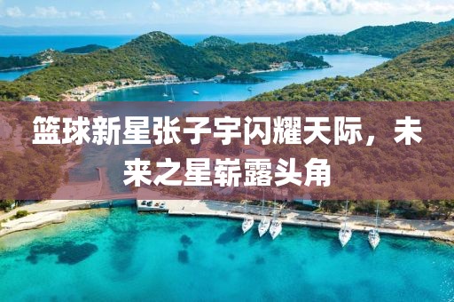 篮球新星张子宇闪耀天际，未来之星崭露头角