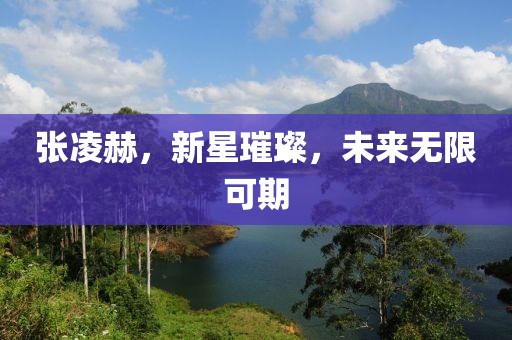 张凌赫，新星璀璨，未来无限可期
