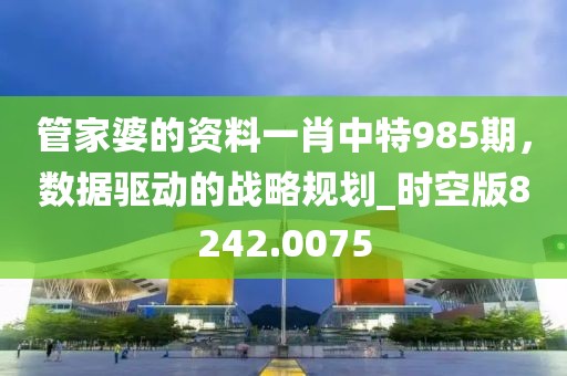 管家婆的资料一肖中特985期，数据驱动的战略规划_时空版8242.0075
