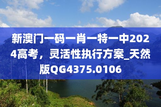新澳门一码一肖一特一中2024高考，灵活性执行方案_天然版QG4375.0106