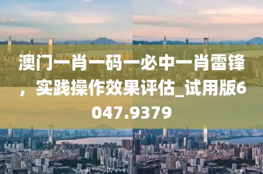 澳门一肖一码一必中一肖雷锋，实践操作效果评估_试用版6047.9379