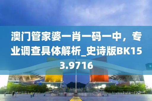 澳门管家婆一肖一码一中，专业调查具体解析_史诗版BK153.9716