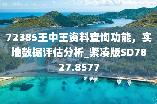 72385王中王资料查询功能，实地数据评估分析_紧凑版SD7827.8577