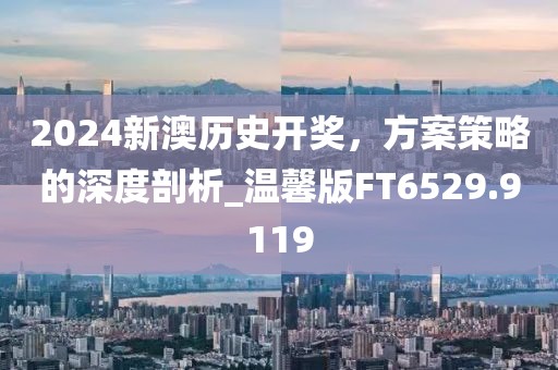 2024新澳历史开奖，方案策略的深度剖析_温馨版FT6529.9119