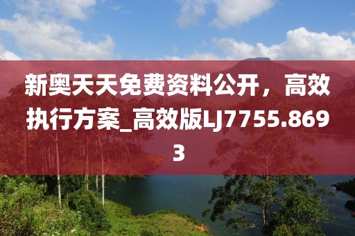 新奥天天免费资料公开，高效执行方案_高效版LJ7755.8693