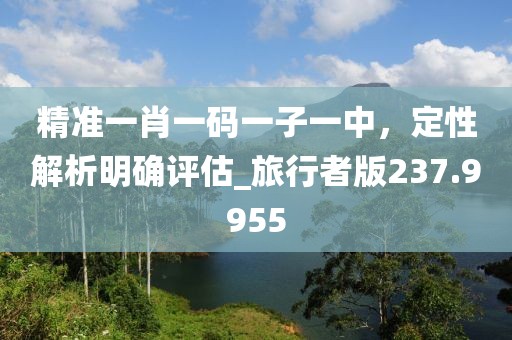 精准一肖一码一子一中，定性解析明确评估_旅行者版237.9955
