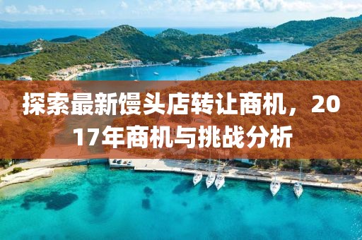 美丽的过往 第33页