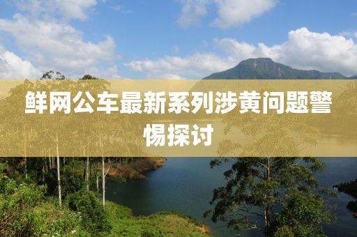 鲜网公车最新系列涉黄问题警惕探讨