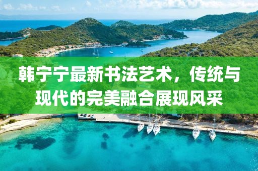 韩宁宁最新书法艺术，传统与现代的完美融合展现风采