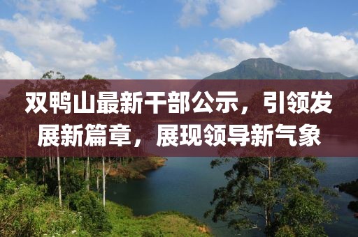 双鸭山最新干部公示，引领发展新篇章，展现领导新气象