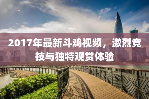 2017年最新斗鸡视频，激烈竞技与独特观赏体验