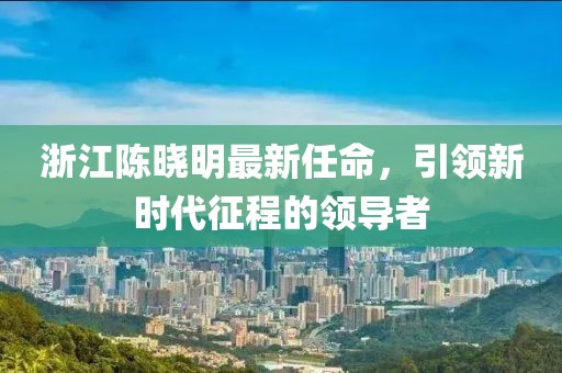 浙江陈晓明最新任命，引领新时代征程的领导者