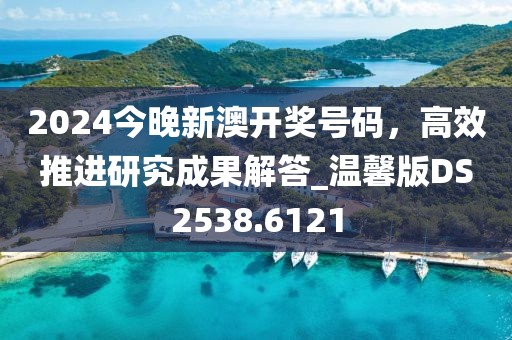 2024今晚新澳开奖号码，高效推进研究成果解答_温馨版DS2538.6121