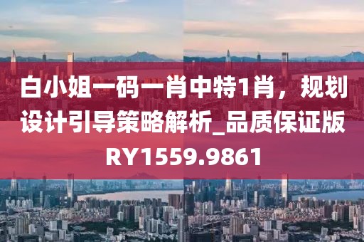 白小姐一码一肖中特1肖，规划设计引导策略解析_品质保证版RY1559.9861