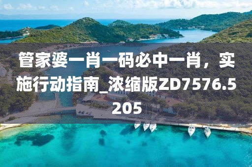 管家婆一肖一码必中一肖，实施行动指南_浓缩版ZD7576.5205