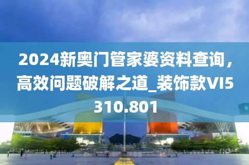 2024新奥门管家婆资料查询，高效问题破解之道_装饰款VI5310.801
