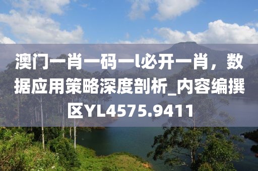 澳门一肖一码一l必开一肖，数据应用策略深度剖析_内容编撰区YL4575.9411