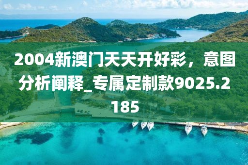 2004新澳门天天开好彩，意图分析阐释_专属定制款9025.2185
