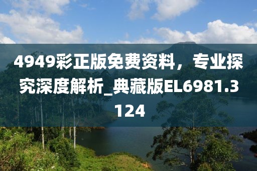 4949彩正版免费资料，专业探究深度解析_典藏版EL6981.3124