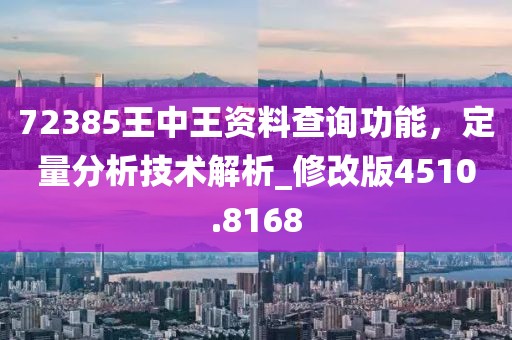 72385王中王资料查询功能，定量分析技术解析_修改版4510.8168