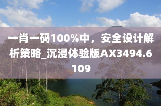 一肖一码100%中，安全设计解析策略_沉浸体验版AX3494.6109