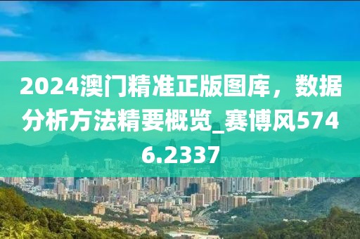 2024澳门精准正版图库，数据分析方法精要概览_赛博风5746.2337