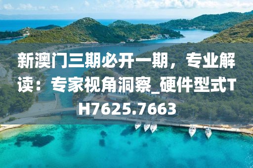 新澳门三期必开一期，专业解读：专家视角洞察_硬件型式TH7625.7663