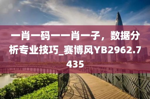 一肖一码一一肖一子，数据分析专业技巧_赛博风YB2962.7435
