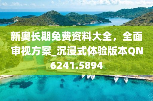 新奥长期免费资料大全，全面审视方案_沉浸式体验版本QN6241.5894