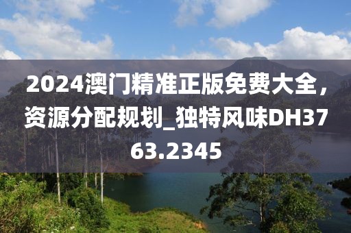 2024澳门精准正版免费大全，资源分配规划_独特风味DH3763.2345