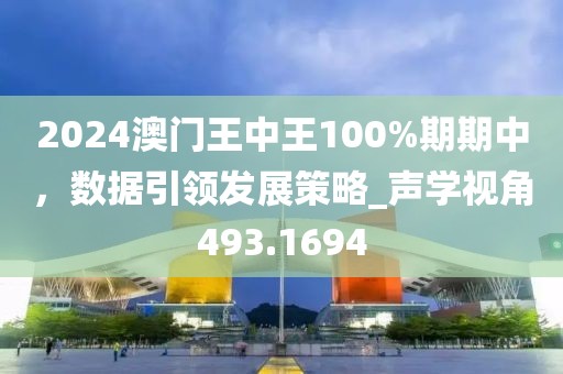 2024澳门王中王100%期期中，数据引领发展策略_声学视角493.1694