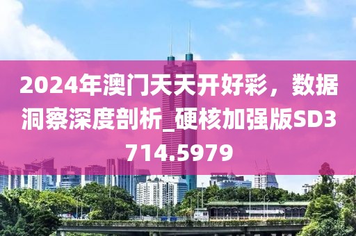 2024年澳门天天开好彩，数据洞察深度剖析_硬核加强版SD3714.5979