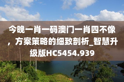 今晚一肖一码澳门一肖四不像，方案策略的细致剖析_智慧升级版HC5454.939