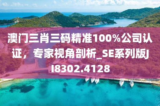 澳门三肖三码精准100%公司认证，专家视角剖析_SE系列版JI8302.4128