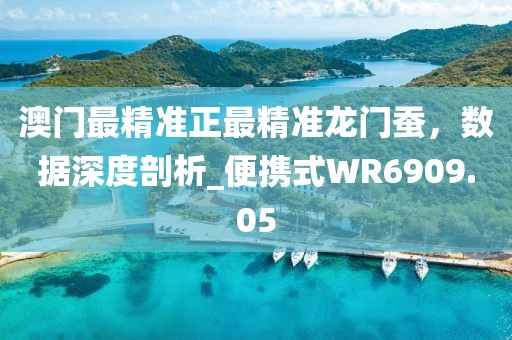 澳门最精准正最精准龙门蚕，数据深度剖析_便携式WR6909.05