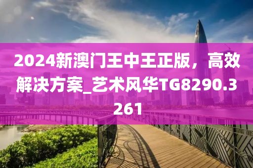 2024新澳门王中王正版，高效解决方案_艺术风华TG8290.3261