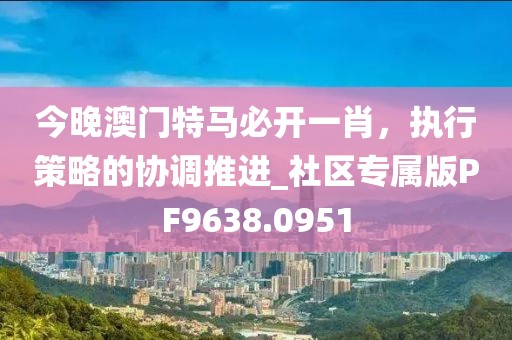 今晚澳门特马必开一肖，执行策略的协调推进_社区专属版PF9638.0951