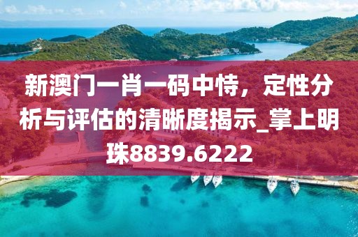 新澳门一肖一码中恃，定性分析与评估的清晰度揭示_掌上明珠8839.6222