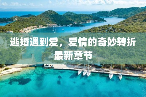 逃婚遇到爱，爱情的奇妙转折最新章节