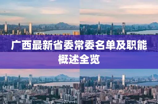 广西最新省委常委名单及职能概述全览