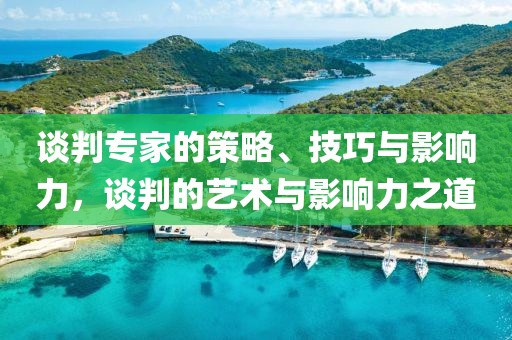 谈判专家