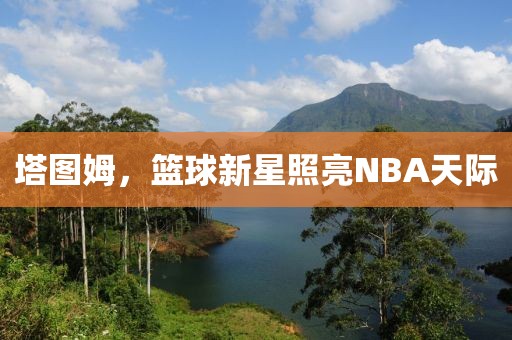 塔图姆，篮球新星照亮NBA天际