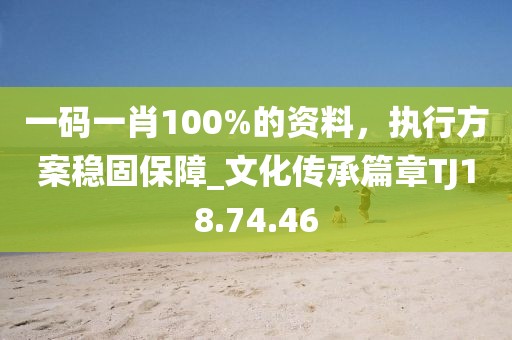 一码一肖100%的资料，执行方案稳固保障_文化传承篇章TJ18.74.46