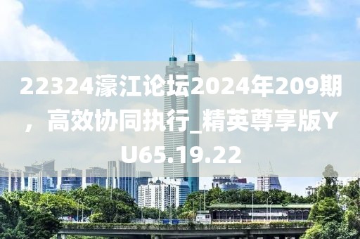 22324濠江论坛2024年209期，高效协同执行_精英尊享版YU65.19.22