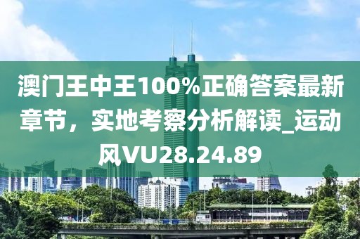 澳门王中王100%正确答案最新章节，实地考察分析解读_运动风VU28.24.89
