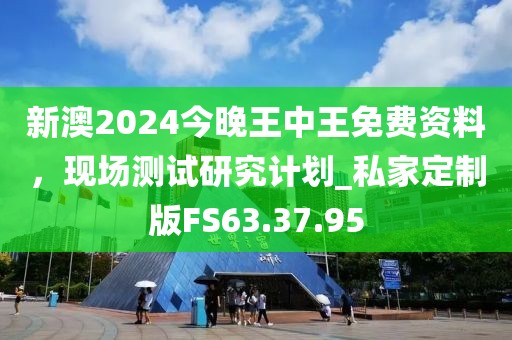 新澳2024今晚王中王免费资料，现场测试研究计划_私家定制版FS63.37.95
